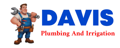 Trusted plumber in VASS